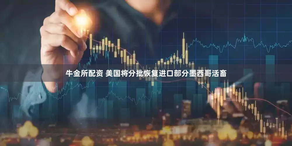 牛金所配资 美国将分批恢复进口部分墨西哥活畜