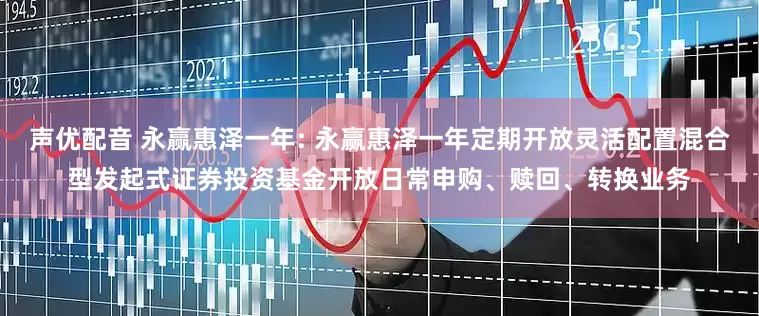 声优配音 永赢惠泽一年: 永赢惠泽一年定期开放灵活配置混合型发起式证券投资基金开放日常申购、赎回、转换业务