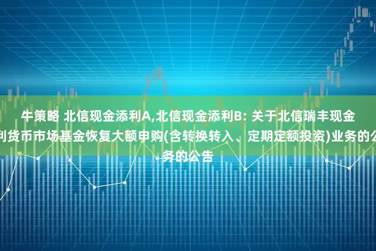 牛策略 北信现金添利A,北信现金添利B: 关于北信瑞丰现金添利货币市场基金恢复大额申购(含转换转入、定期定额投资)业务的公告