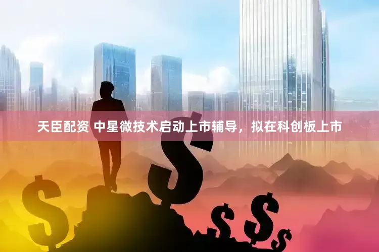 天臣配资 中星微技术启动上市辅导，拟在科创板上市