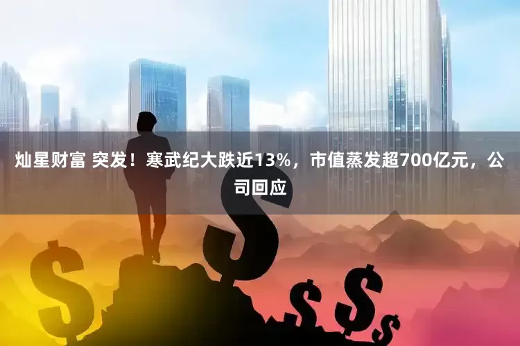 灿星财富 突发!寒武纪大跌近13%,市值蒸发超700亿元,公司回应