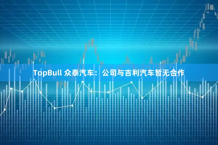 TopBull 众泰汽车：公司与吉利汽车暂无合作